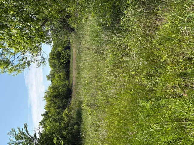 $4,975,000 | 17230 West Il Route 173, Unit 1, Wadsworth, IL 60083