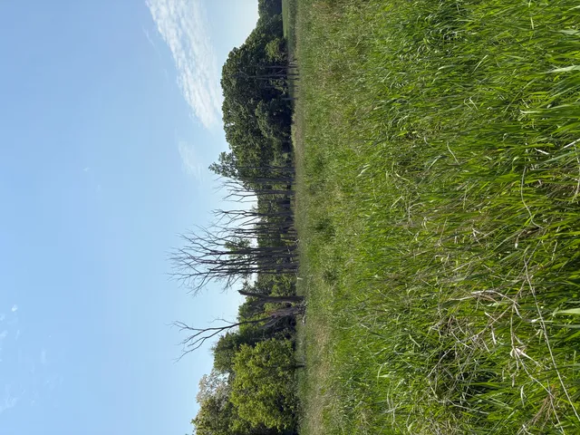 $4,975,000 | 17230 West Il Route 173, Unit 1, Wadsworth, IL 60083