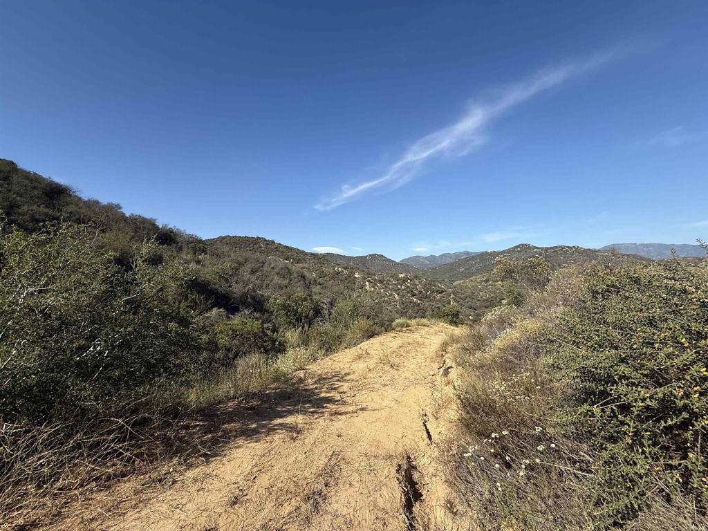 9932 Gomez Creek Road Fallbrook, CA 92028 - Photo 16 of 30 a view of a dry yard with mountains in the background