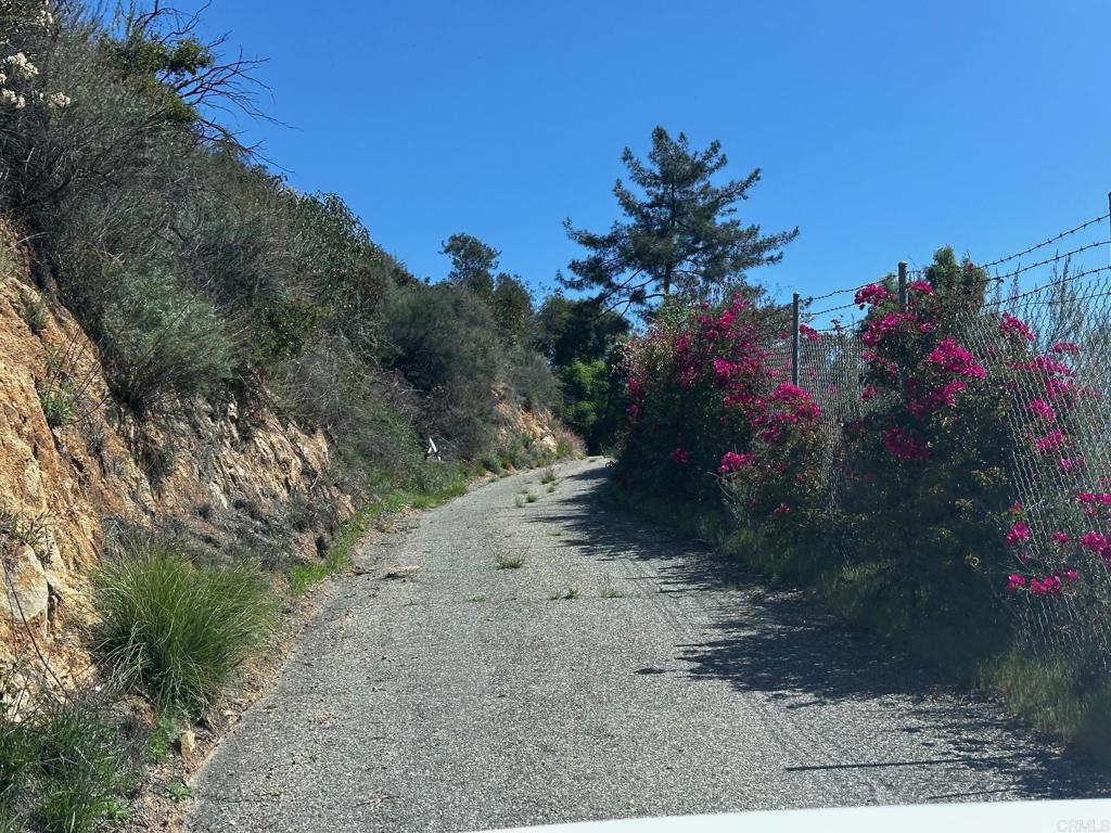 9932 Gomez Creek Road Fallbrook, CA 92028 - Photo 18 of 30 a view of a flower arrangement in backyard