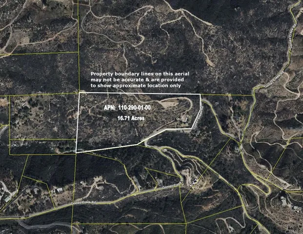 a view of a forest with a mountain