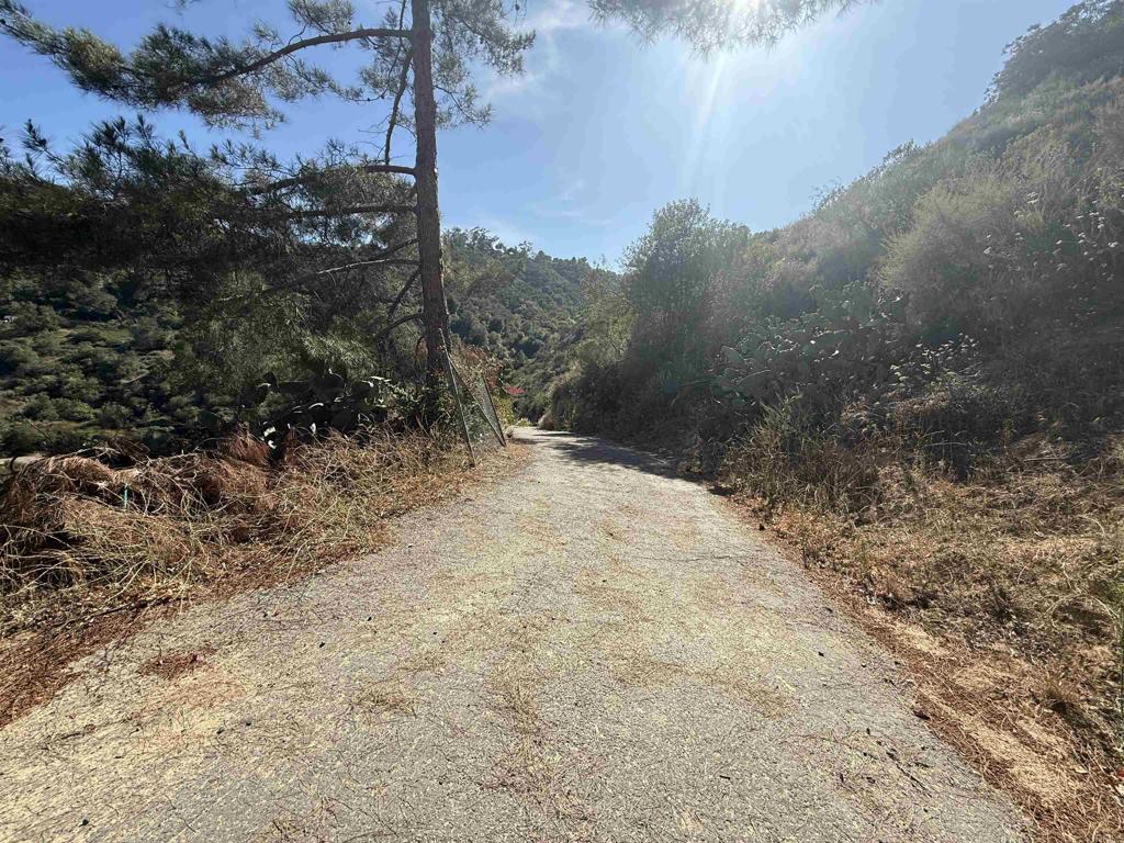9932 Gomez Creek Road Fallbrook, CA 92028 - Photo 27 of 30 a view of a dry yard with trees
