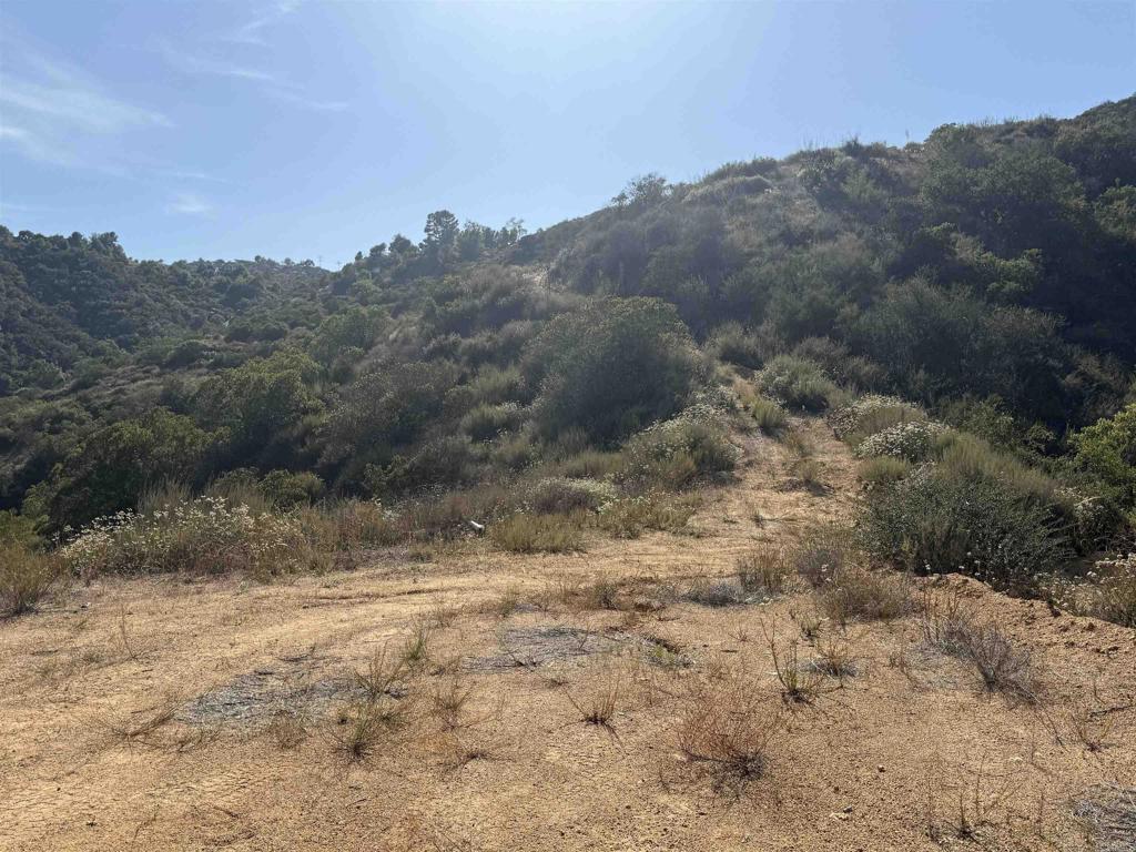 9932 Gomez Creek Road Fallbrook, CA 92028 - Photo 30 of 30 a view of a dry yard with mountains in the background