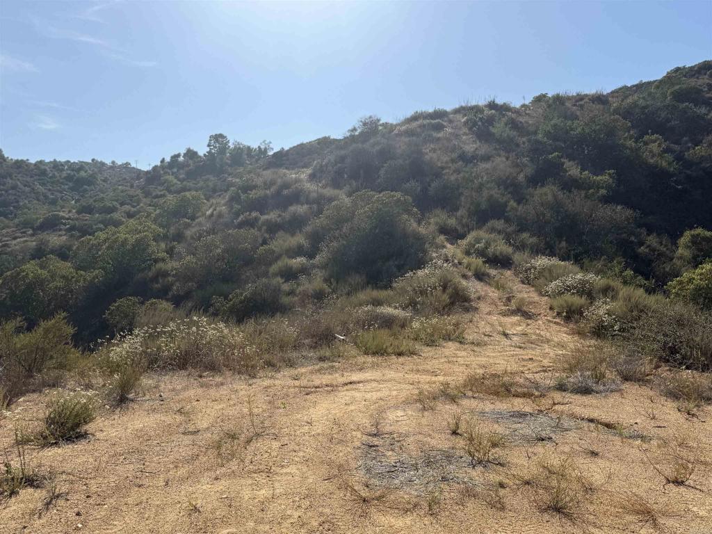 9932 Gomez Creek Road Fallbrook, CA 92028 - Photo 5 of 30 a view of a dry yard with mountains in the background