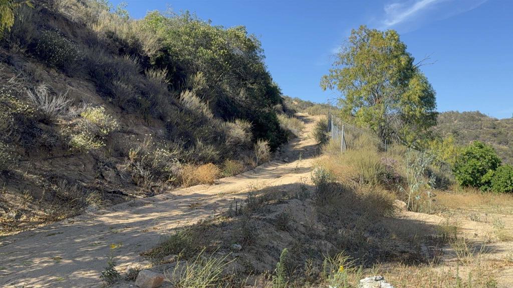 9932 Gomez Creek Road Fallbrook, CA 92028 - Photo 8 of 30 a view of a yard with a tree
