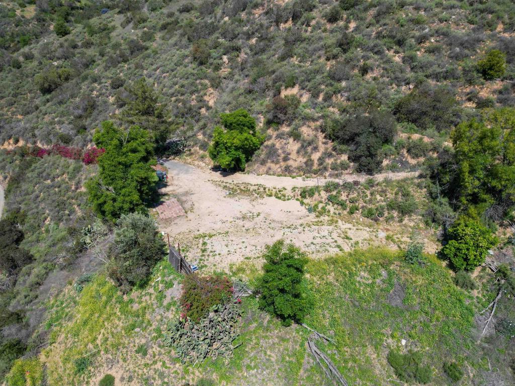 9932 Gomez Creek Road Fallbrook, CA 92028 - Photo 9 of 30 a view of a yard with plants and a tree