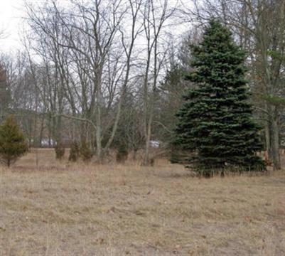 North Sand Lake Road Montgomery, MI 49255 - Photo 1 of 3 Primary Photo