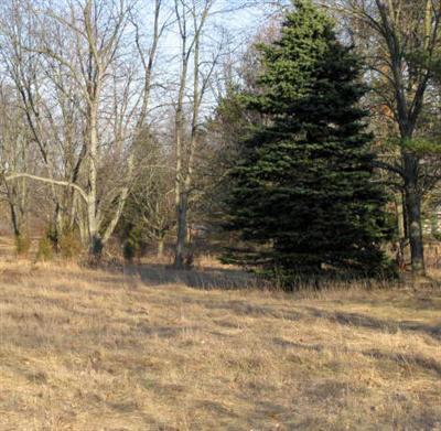 North Sand Lake Road Montgomery, MI 49255 - Photo 2 of 3 Additional Photo