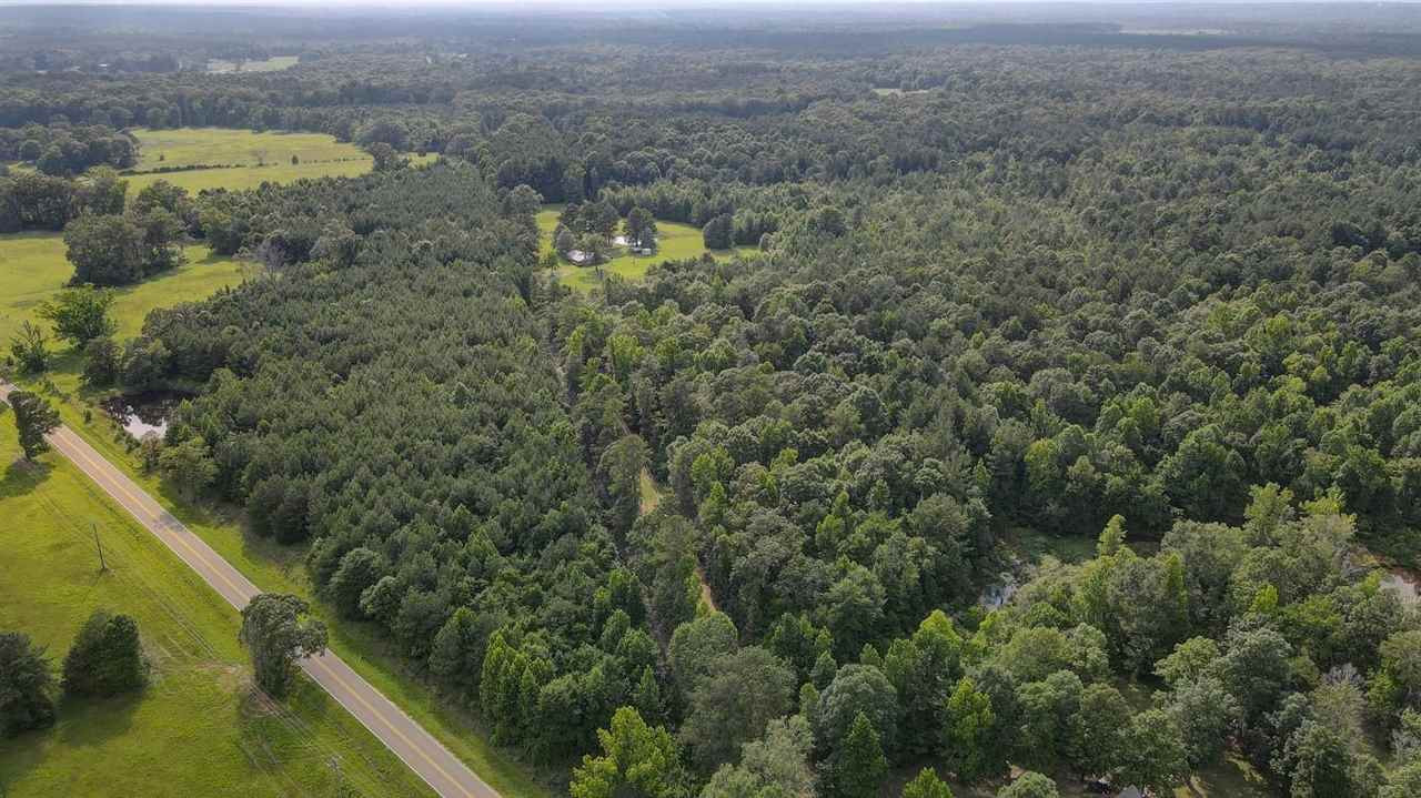 0 Star Brandon Road Florence, MS 39073 - Photo 1 of 3 Photo 1