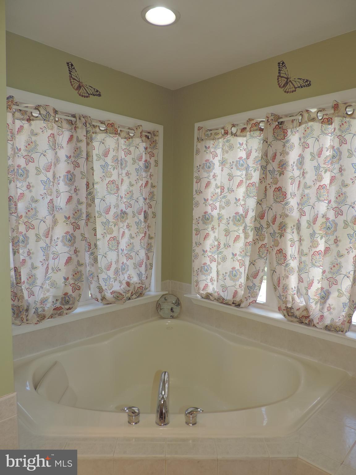 499 Beards Hill Road Aberdeen, MD 21001 - Photo 9 of 16 Primary Bath Soaking Tub