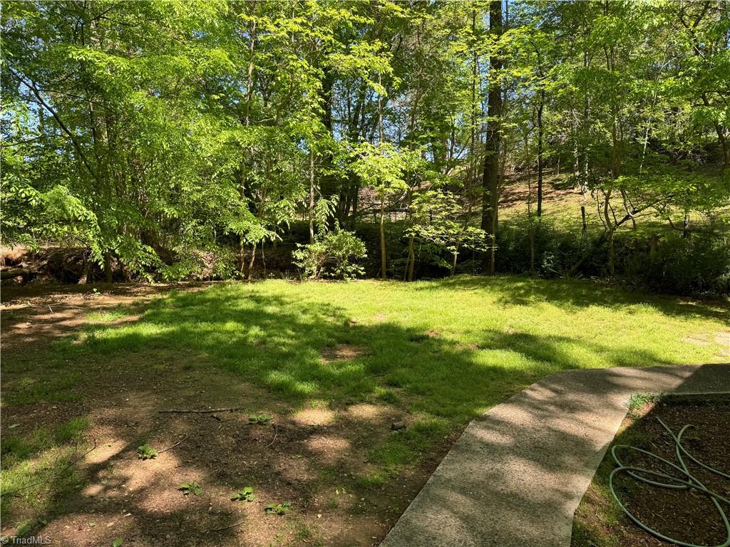2560 North Old 52 Road Pinnacle, NC 27043 - Photo 18 of 43