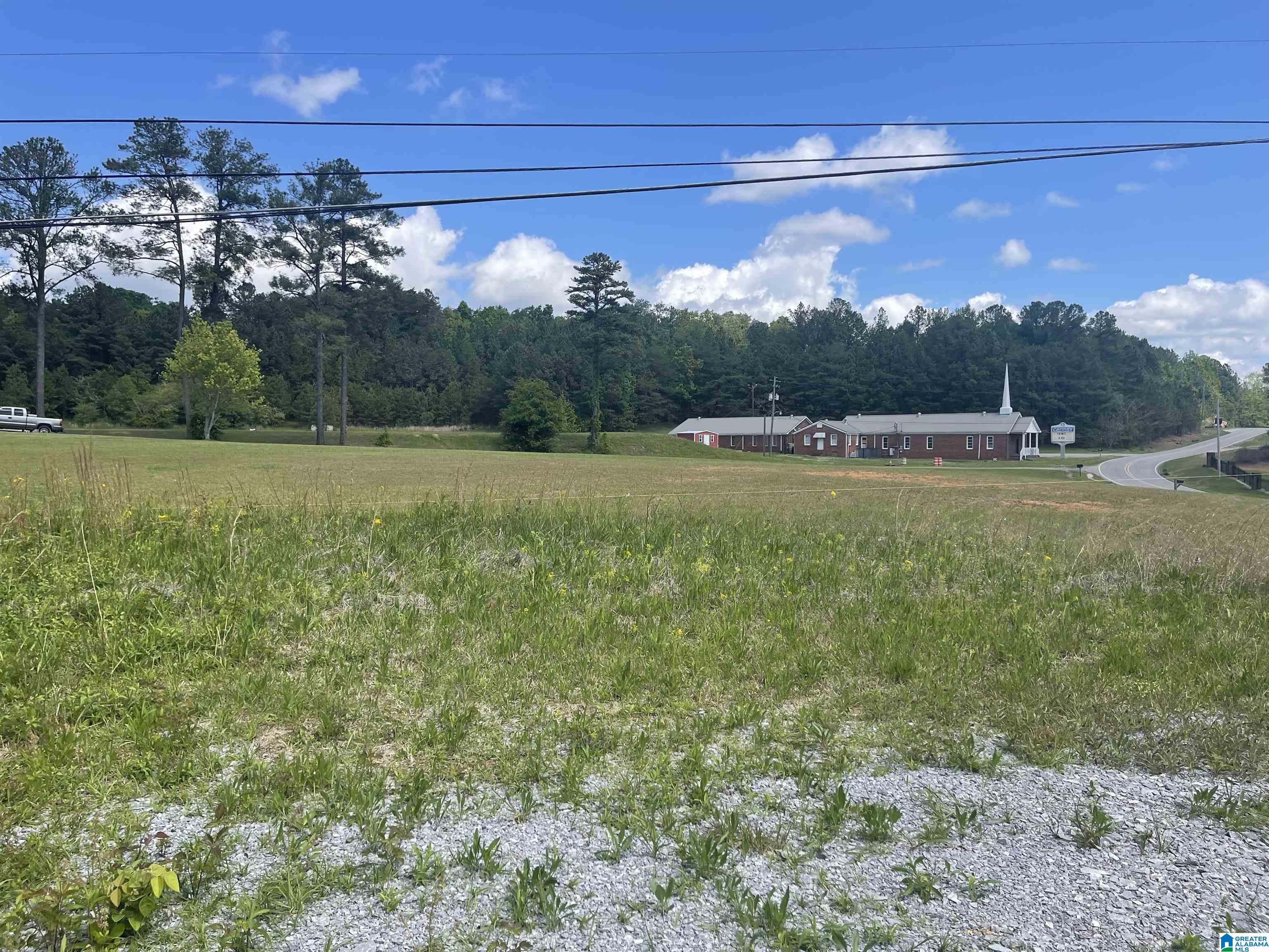 2021 Brookside Road, Unit 3 Mount Olive, AL 35117 - Photo 5 of 16