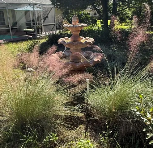 a view of a backyard with plants and large trees