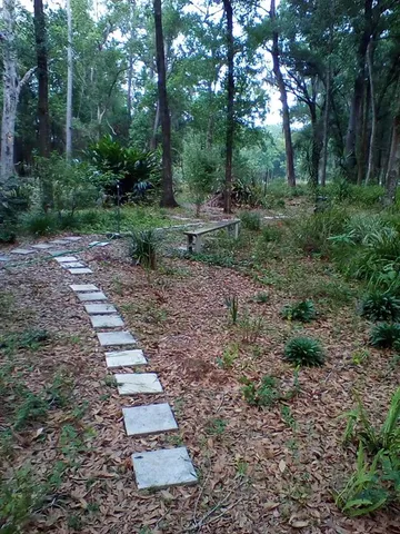 a view of a yard with plants and trees