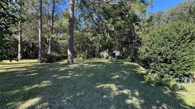 a view of outdoor space with trees all around