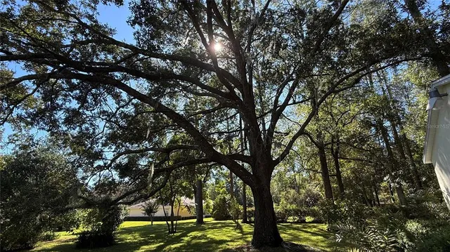 a view of outdoor space with lots of trees