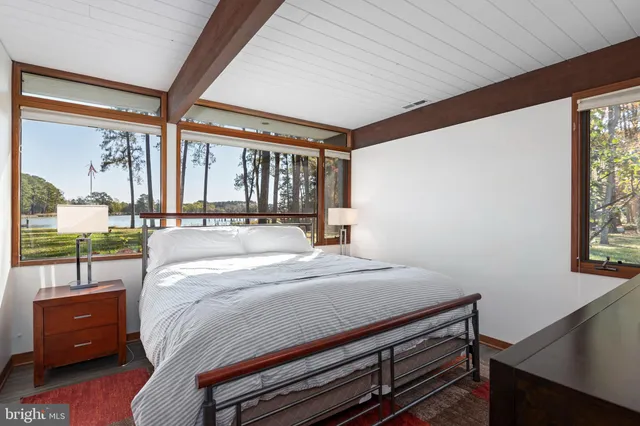 a view of a park with large trees