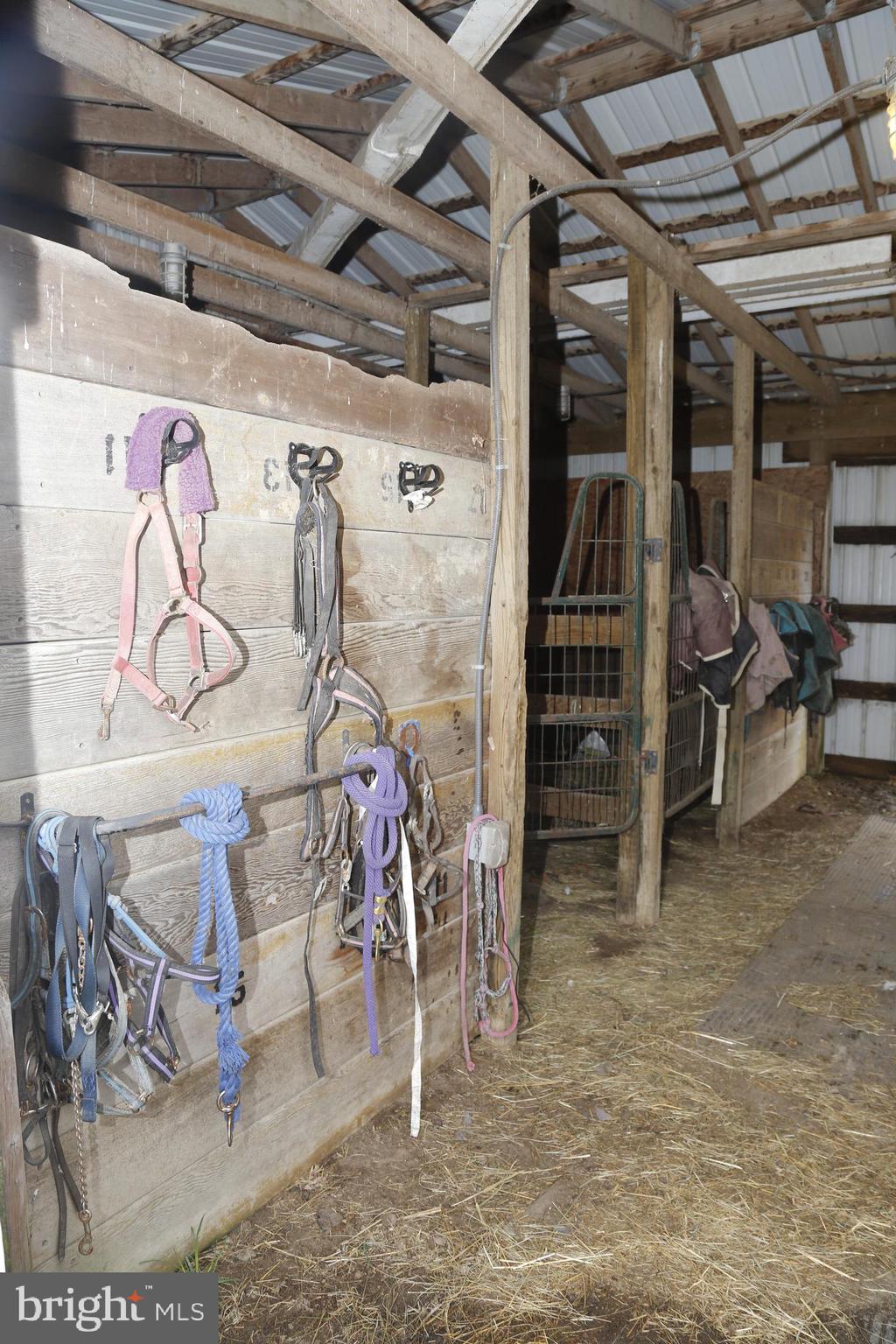 16873 Henderson Road Henderson, MD 21640 - Photo 35 of 45 Main Barn general