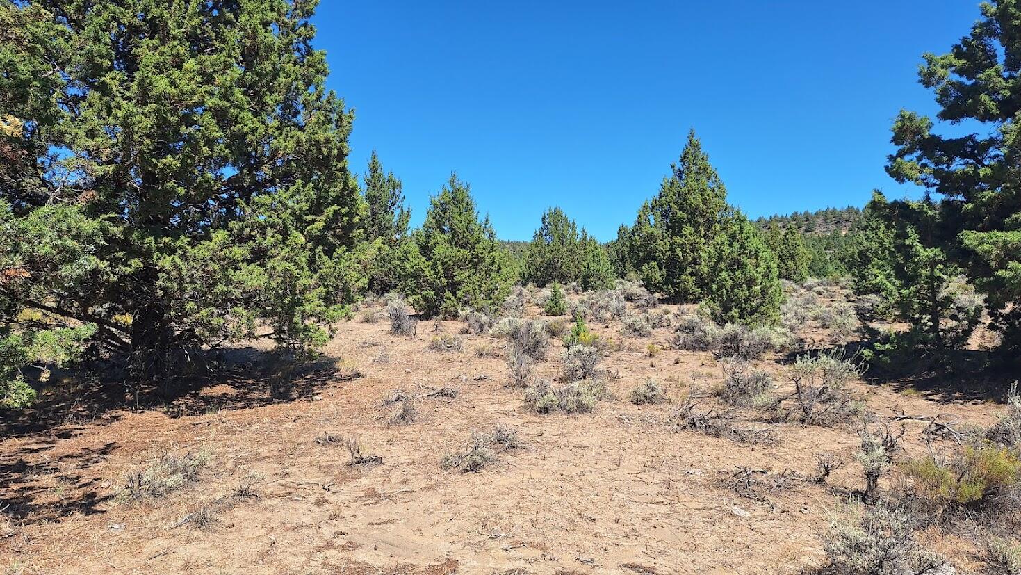 400 Goldenview Ranch Bend, Unit 400 Bend, OR 97701 - Photo 1 of 8 a view of a covered with trees in the background