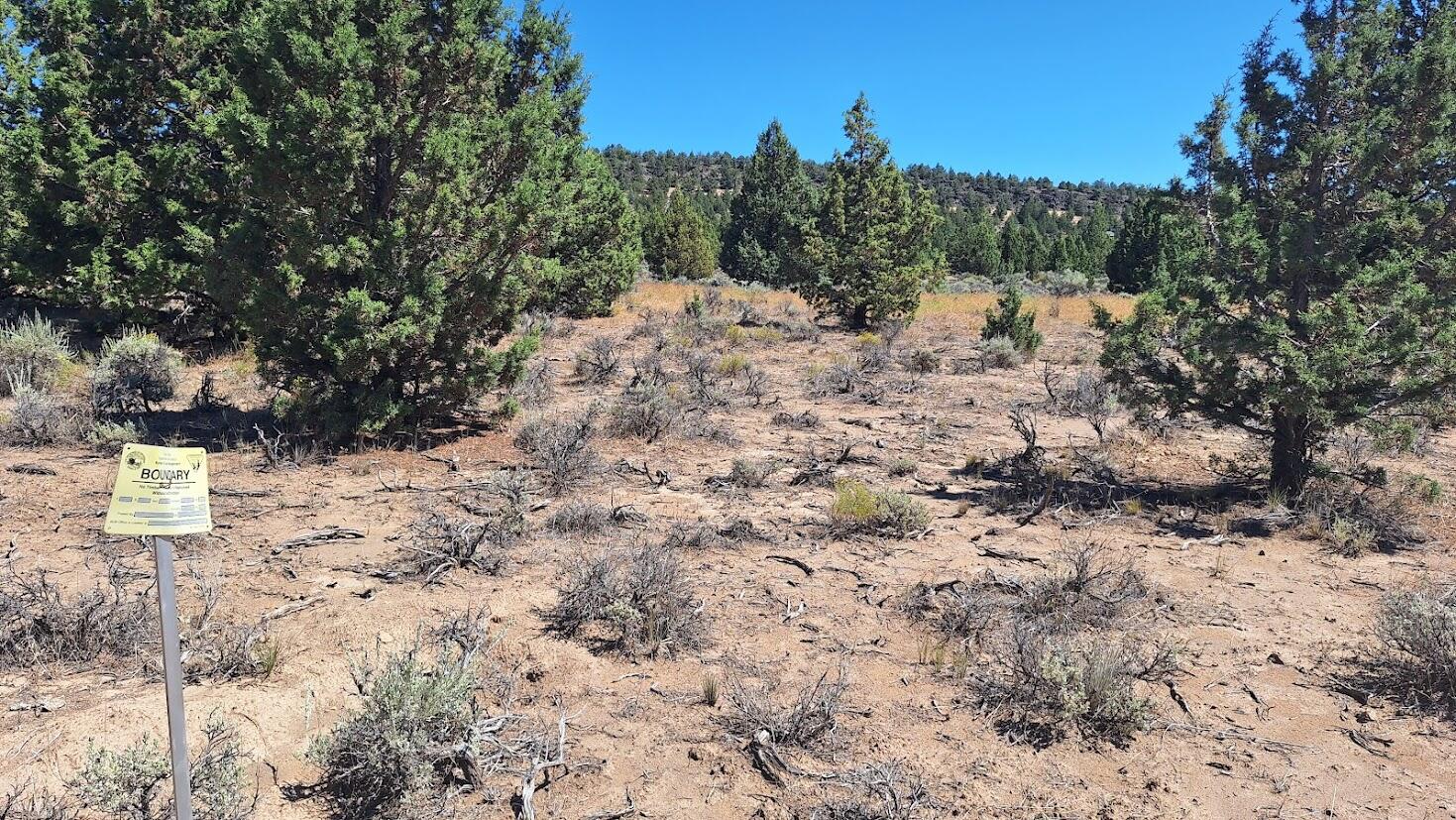 400 Goldenview Ranch Bend, Unit 400 Bend, OR 97701 - Photo 3 of 8 a view of a dry yard with mountain and trees