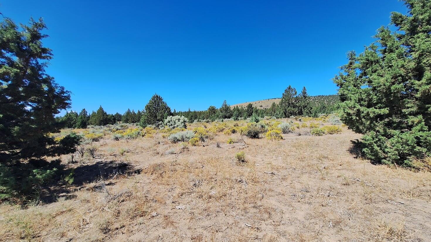 400 Goldenview Ranch Bend, Unit 400 Bend, OR 97701 - Photo 6 of 8 a view of a dry yard with trees