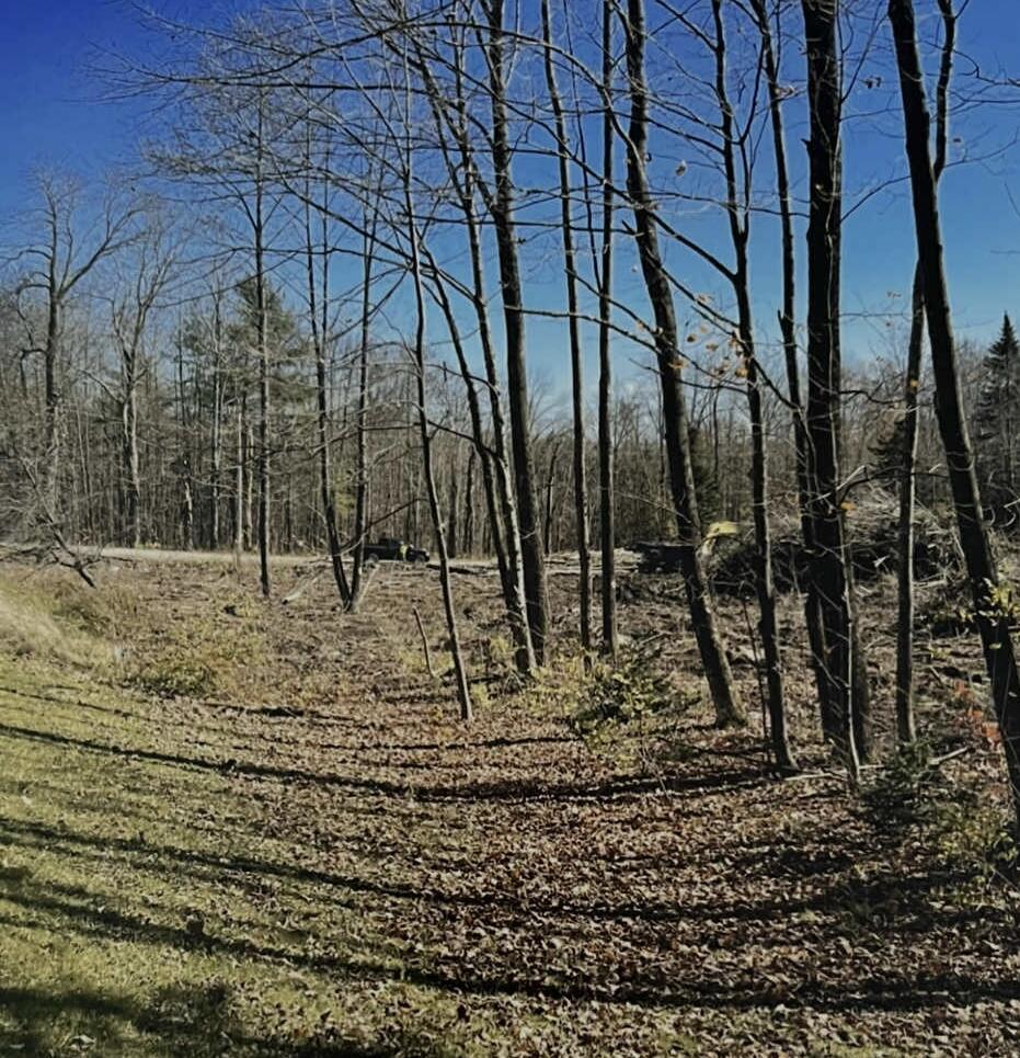 3 Ladd Road Sebec, ME 04481 - Photo 3 of 12