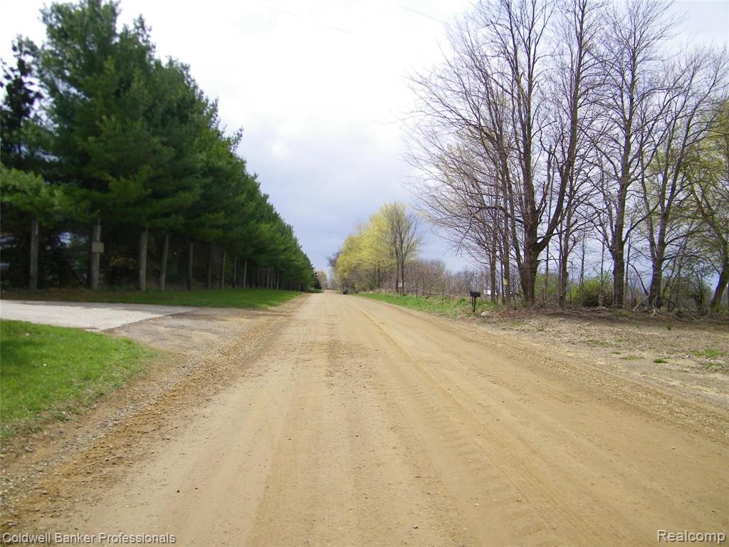 Parcel B Old State Road North Branch, MI 48461 - Photo 5 of 6