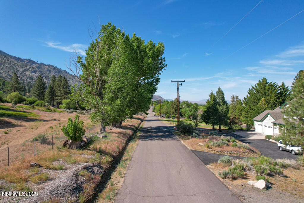 1147 Autumn Hills Road Gardnerville, NV 89460 - Photo 41 of 50 a view of a yard with potted plants