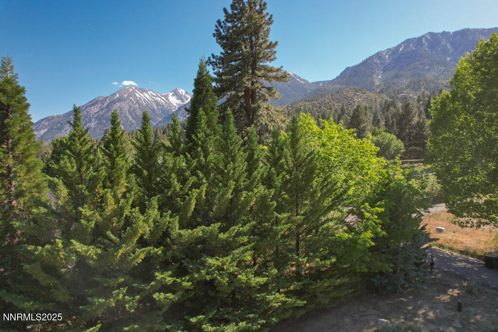 1147 Autumn Hills Road Gardnerville, NV 89460 - Photo 48 of 50 a view of a lush green yard