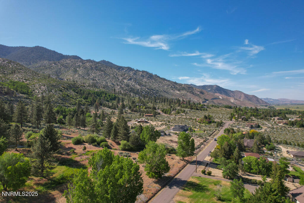 1147 Autumn Hills Road Gardnerville, NV 89460 - Photo 49 of 50 a view of a lush green hillside and houses