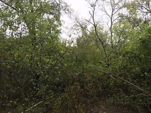 $1,919,700 | 1365 Mexia Tx 76667, Mexia, TX 76667