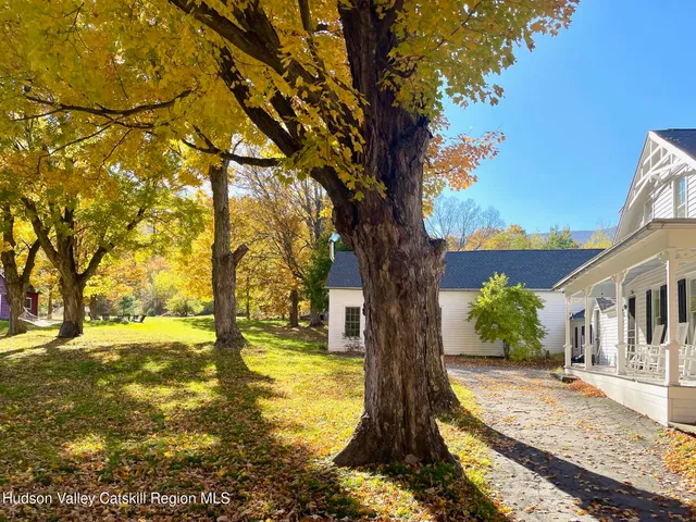 a view of a yard with an trees