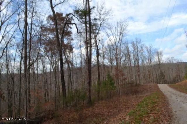 $139,900 | Lot 75 Tomahawk Road, Jamestown, TN 38556