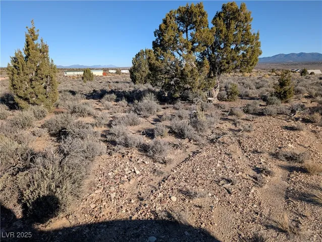 $68,000 | Angela Court, Pioche, NV 89043