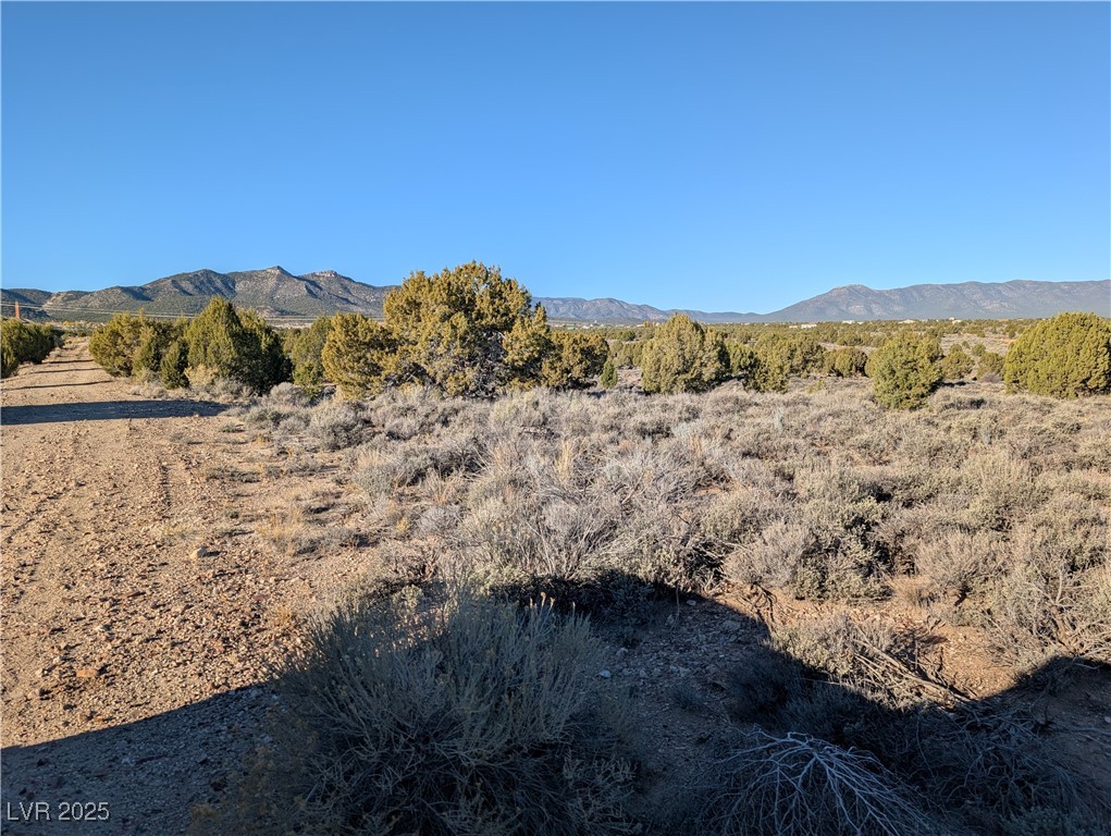 Angela Court Pioche, NV 89043 - Photo 5 of 10 Mountain view