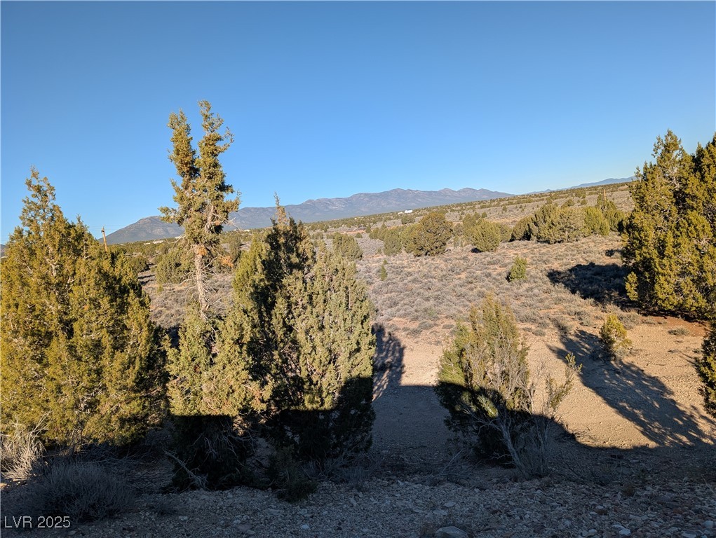Angela Court Pioche, NV 89043 - Photo 6 of 10 View of mountain background