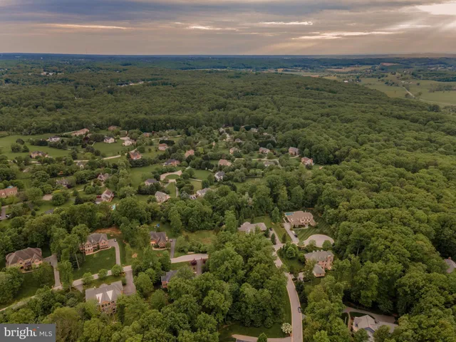 a view of a field with an ocean and trees