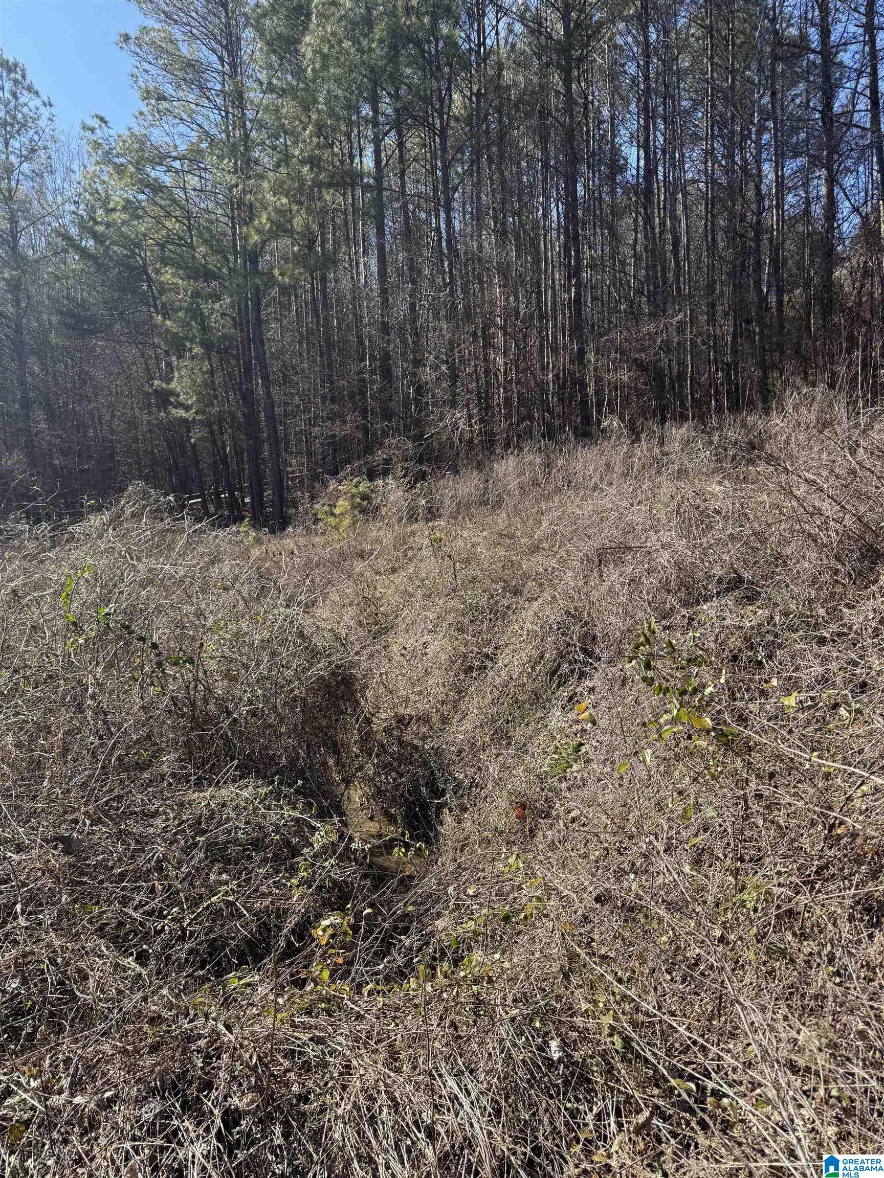 0 Booler Road Vance, AL 35490 - Photo 14 of 19