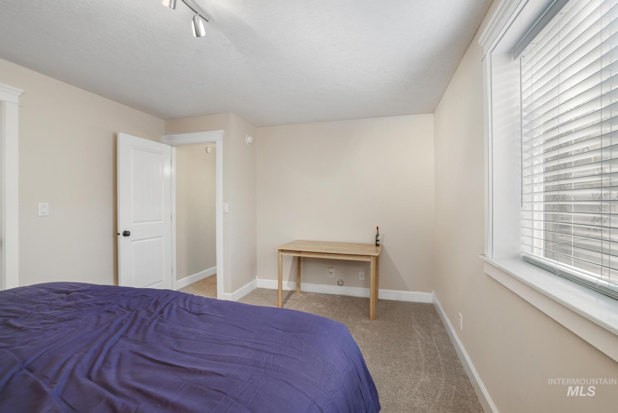1111 Cole Street Kimberly, ID 83341 - Photo 39 of 46 Bedroom featuring light carpet and track lighting