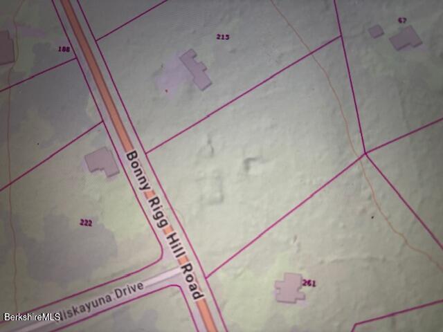 Bonny Rigg Hill Road Becket, MA 01223 - Photo 2 of 15 IMG_6510 (1)