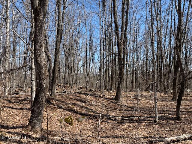 Bonny Rigg Hill Road Becket, MA 01223 - Photo 4 of 15 IMG_6477