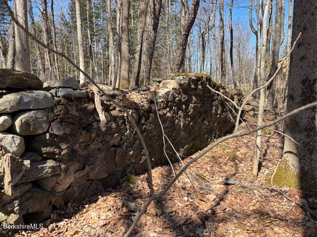 Bonny Rigg Hill Road Becket, MA 01223 - Photo 5 of 15 IMG_6482