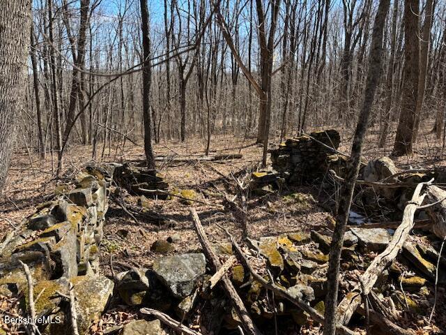 Bonny Rigg Hill Road Becket, MA 01223 - Photo 6 of 15 IMG_6483