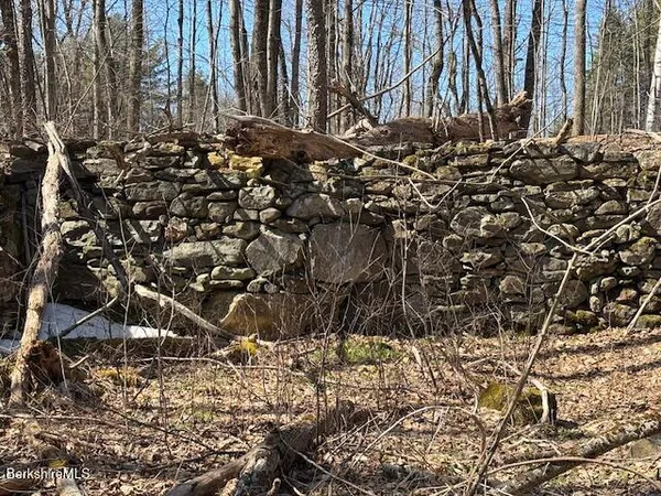 a view of a bunch of trees