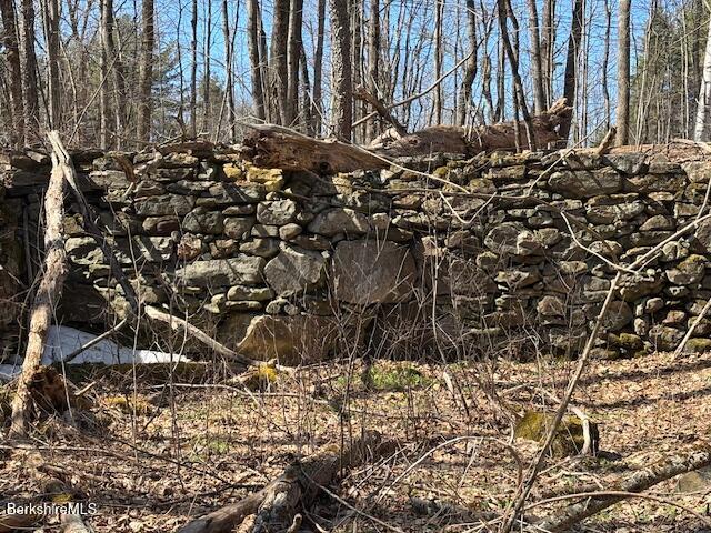 Bonny Rigg Hill Road Becket, MA 01223 - Photo 7 of 15 IMG_6485