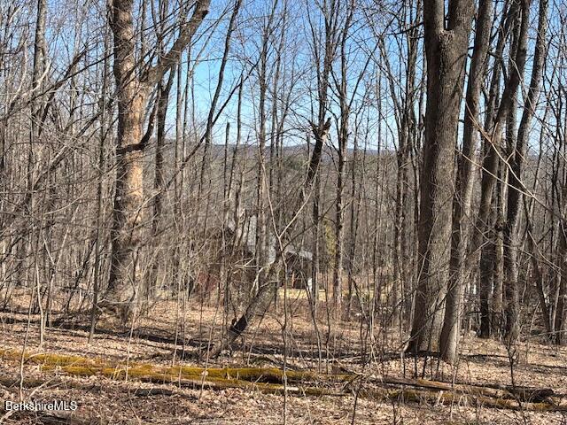 Bonny Rigg Hill Road Becket, MA 01223 - Photo 8 of 15 IMG_6487