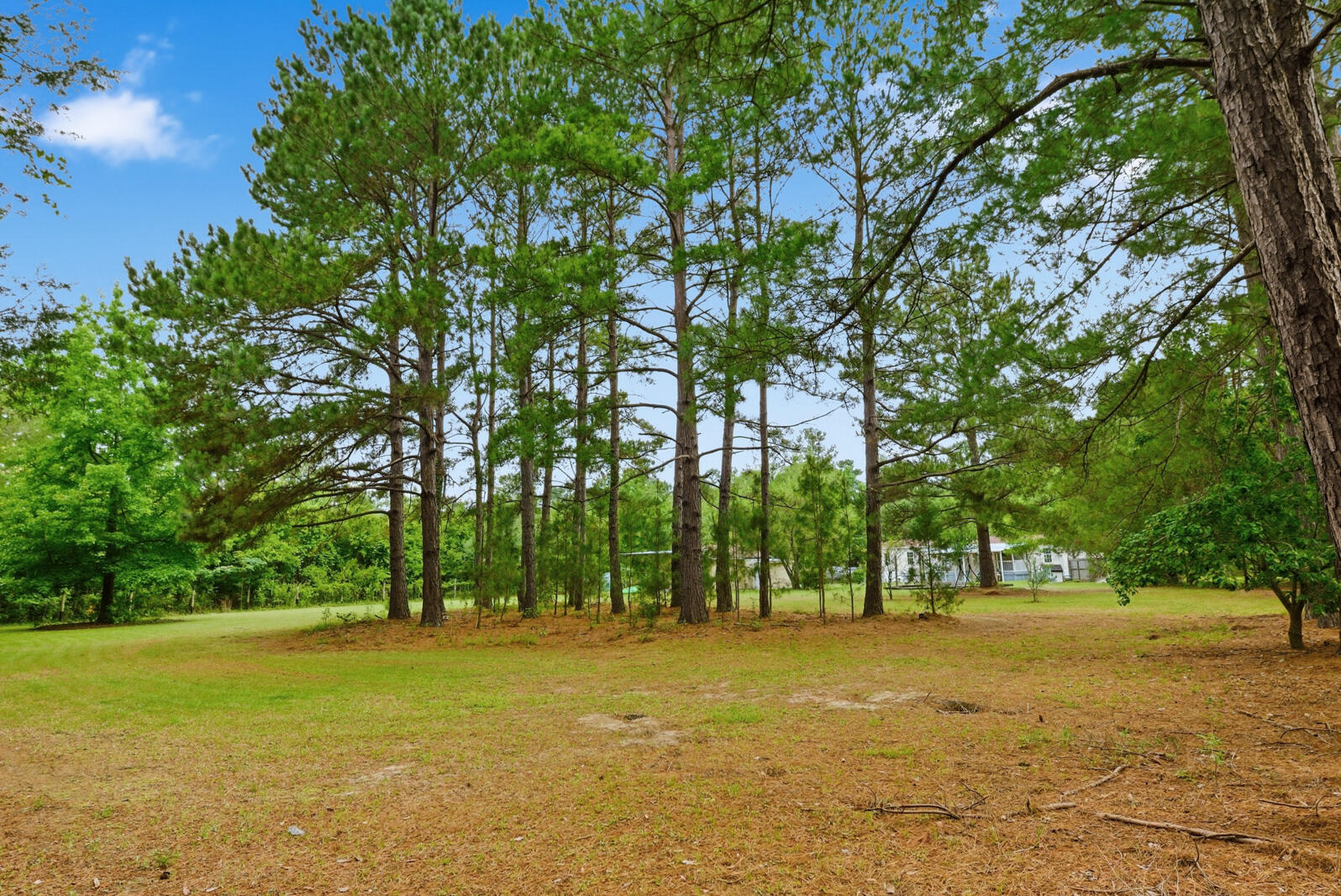 355 Trinity Church Road St. Stephen, SC 29479 - Photo 59 of 62 58