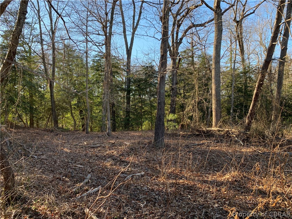 2 White Point Road Kinsale, VA 22488 - Photo 4 of 9