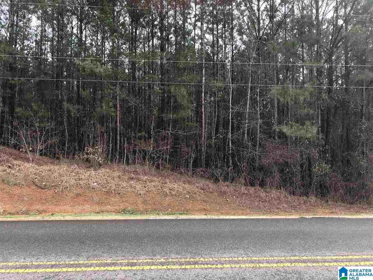 Lot 26 Crisstown Road, Unit 26 Vance, AL 35490 - Photo 3 of 5