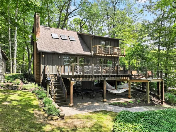 a view of a patio with chairs potted plants and a large tree